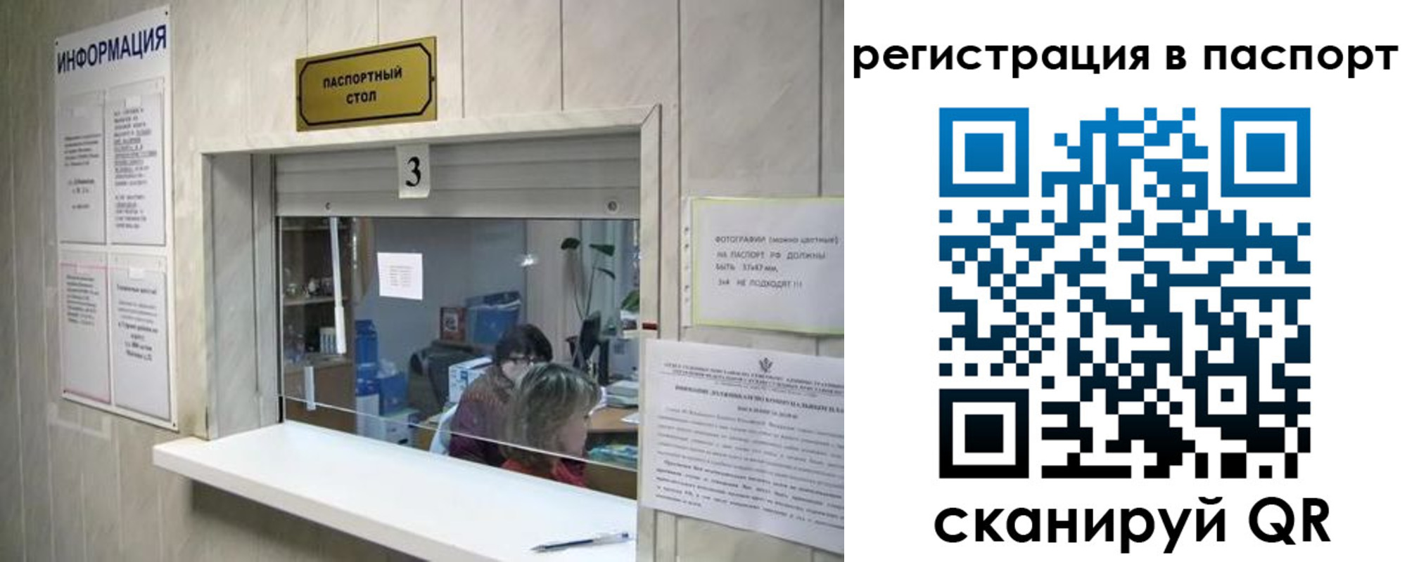 прописка поиск в Северной Осетии